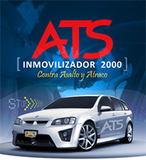 Inmovilizador